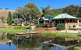 Daisy Hill Lodge